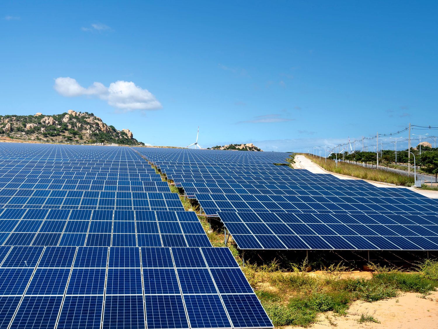 Rows of solar panels feeding the grid, with a wind turbine behind